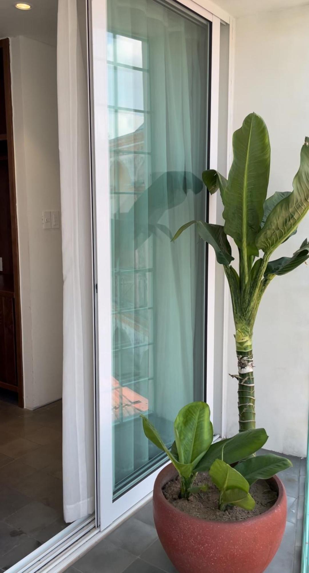 Pham. Hotel & Views Hai Phong Exterior foto